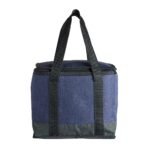 02596-BOLSA TÉRMICA 12 LITROS