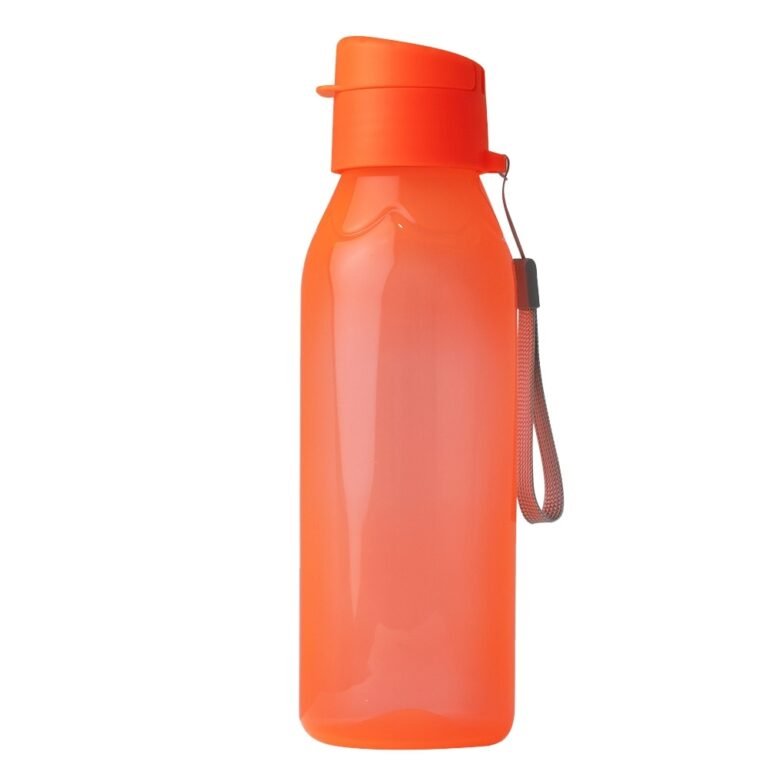 18556-SQUEEZE PLÁSTICA 700ML